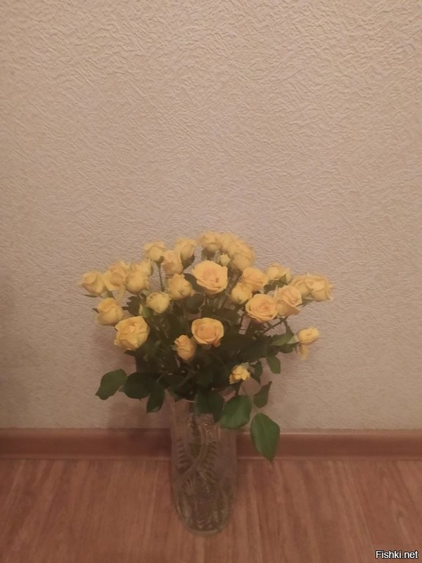 Солянка от 28.11.2022