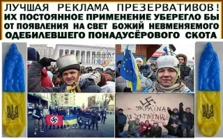 Украинские беженцы устроили скандал в Польше, отказавшись выезжать из отеля "всё включено"