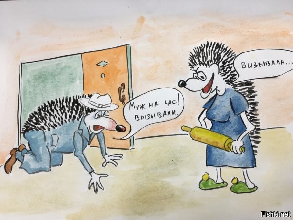 Солянка от 28.11.2022