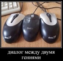Не ищите здесь смысл. Здесь в основном маразм