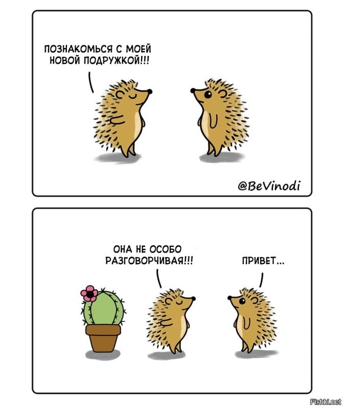 Доброе всем