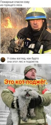 Смешные и познавательные картинки