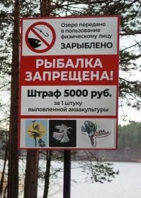 ФотоВсячина