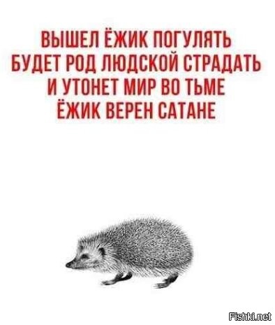 Солянка от 28.11.2022