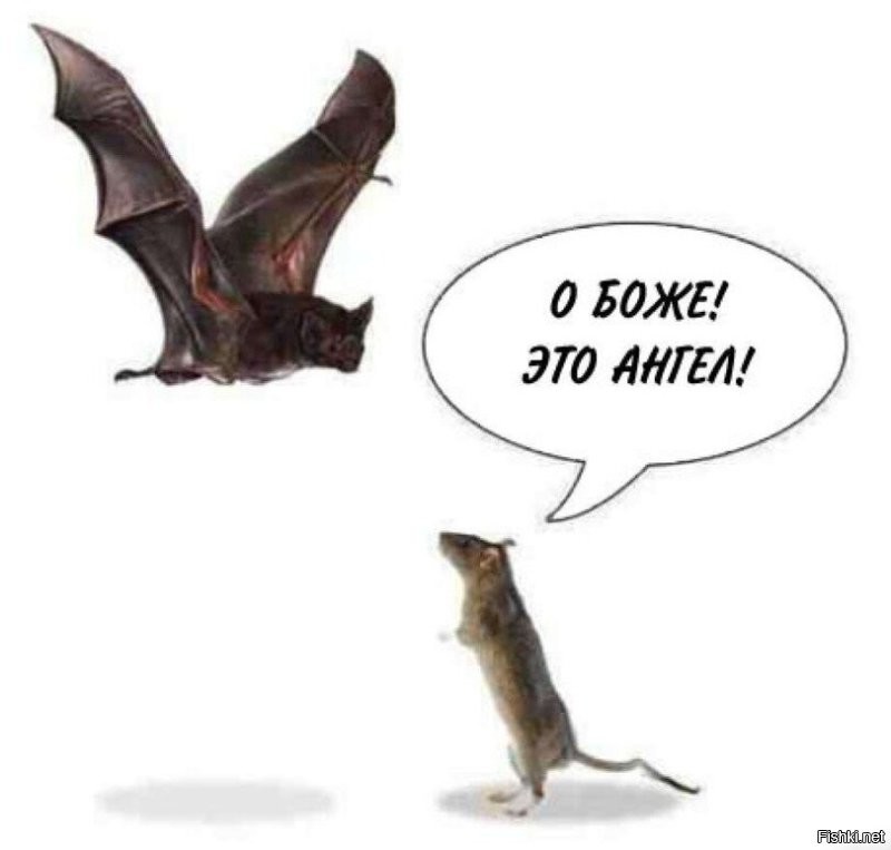 Солянка от 28.11.2022