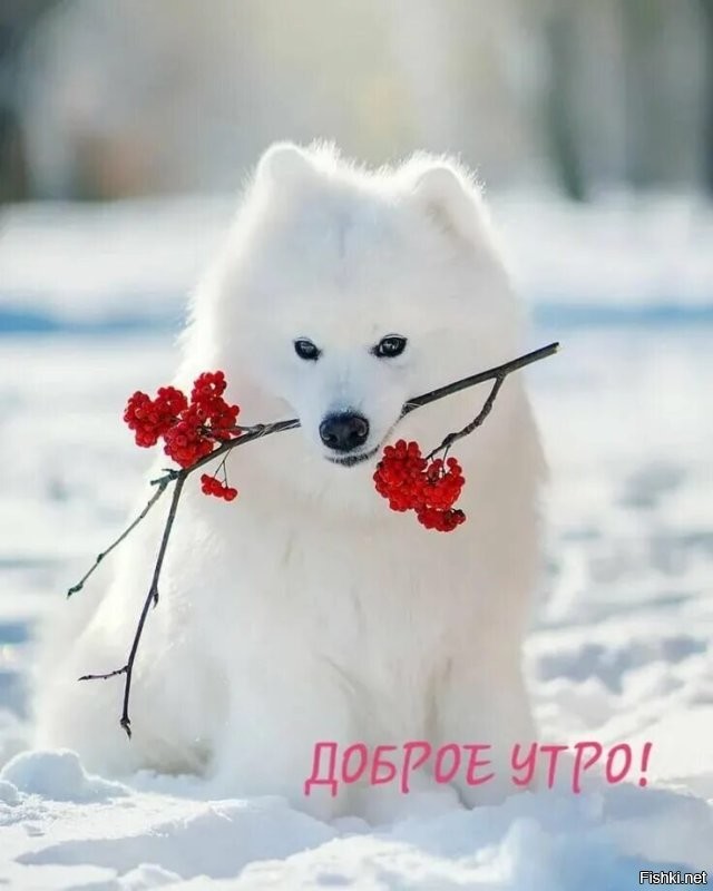 29 ноября, Матвеев день (На Матвея зима потеет, а земля преет)