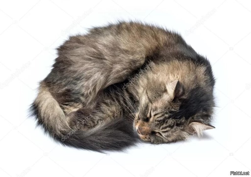 Доброе утро