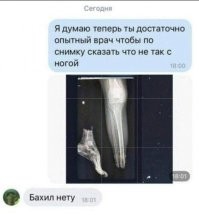 Похоже на комету Галлея