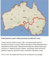 А про это не слышали? Что и кого там прячут?