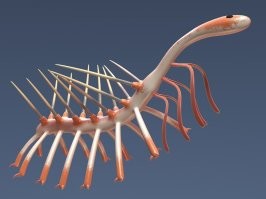 Жаль, что вымерли. Самое то девкам за шиворот запускать.