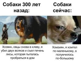 Иллюстрации, демонстрирующие разницу между вымершими животными и их современными потомками