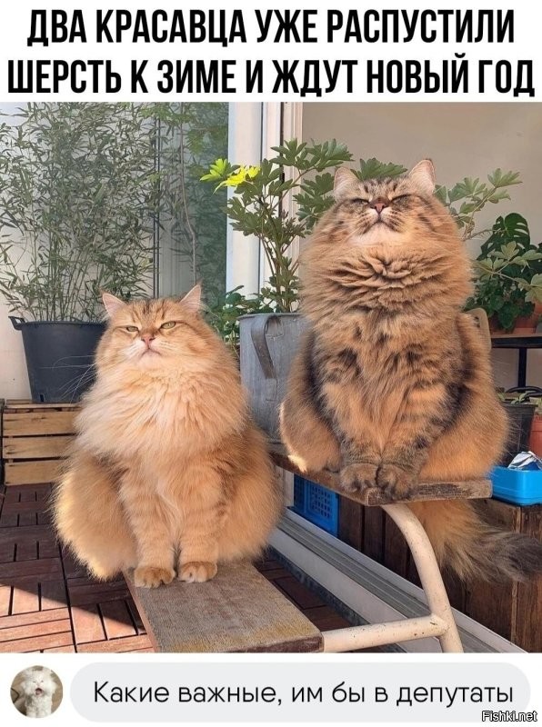 Доброе утро