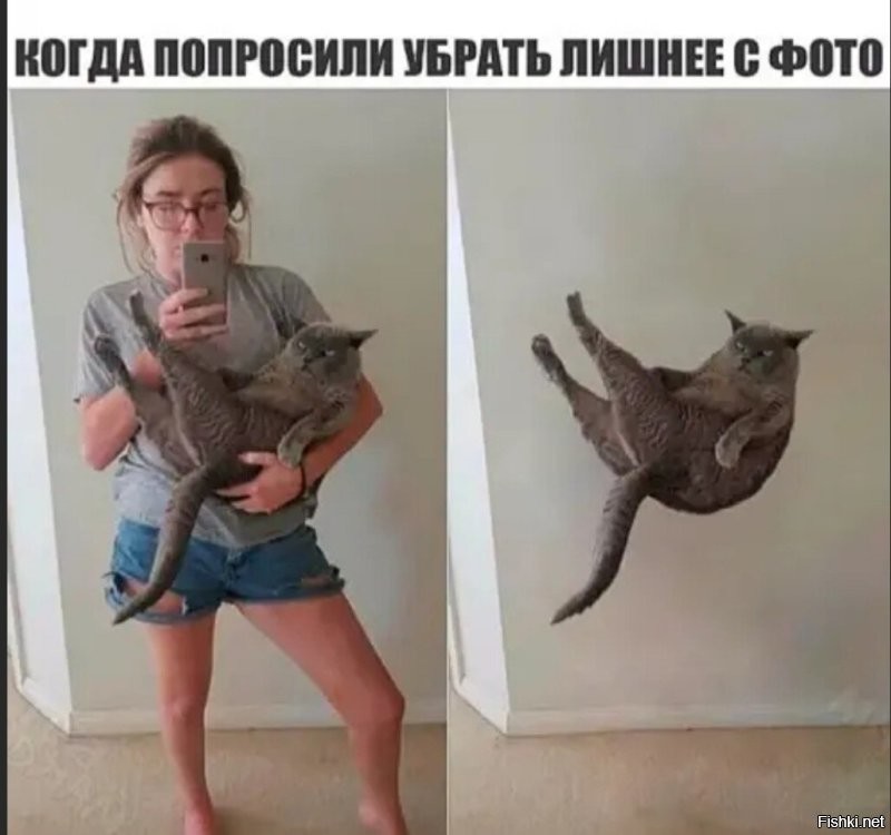 Солянка от 29.11.2022