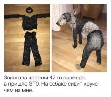 20+ случаев, когда онлайн-покупки оказались настоящей подставой