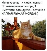 хвостатый ревизор остался недоволен осмотром карниза