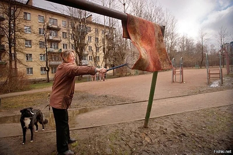 Солянка от 29.11.2022