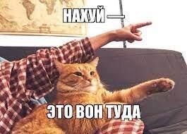 Е....бал ты рот свой. Вы, свиномордые, сколько лет Донбасс утюжили? "Их дети будут сидеть в подвалах.." Помнишь? "Жаренный колорад" помнишь? Ржаки над трупами детей помнишь? "Коктейль Горловская мадонна" помнишь? Вот жри теперь полной ложкой, обляпайся и подавись обязательно.