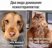 Один гуманист, другой бихевиорист. Объективность такова, что бихевиористы добиваются результатов. А гуманистам самим помощь требуется от эмоционального выгорания)