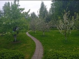 Не ищите здесь смысл. Здесь в основном маразм