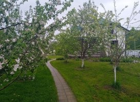 Не ищите здесь смысл. Здесь в основном маразм