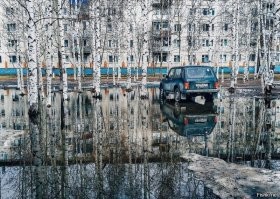 Фотоподборка