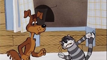 Во вопрос! Мы же с детства знаем - хвост кота, как паспорт у человека! 
 Жить можно, но проблем много...