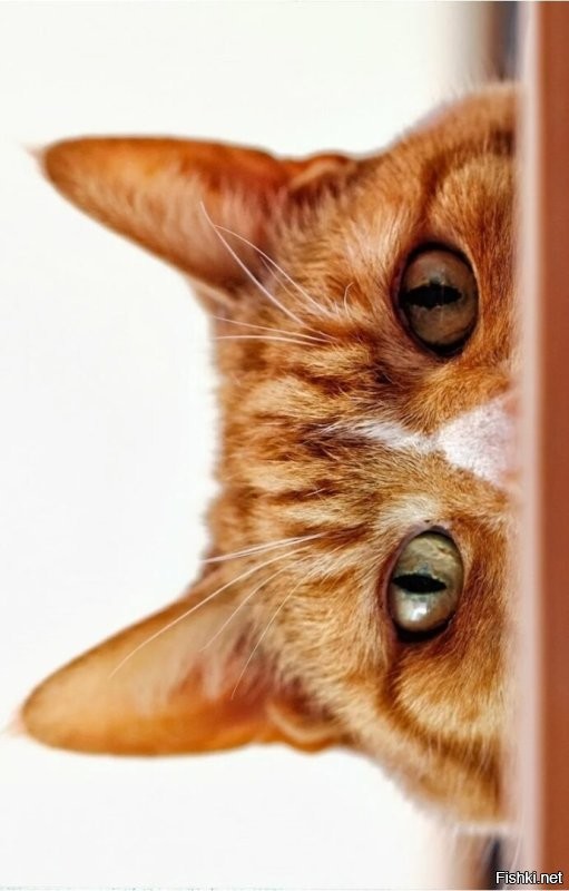 Это, конечно, не Австралия, но что-то типа как в Кабо-Верде