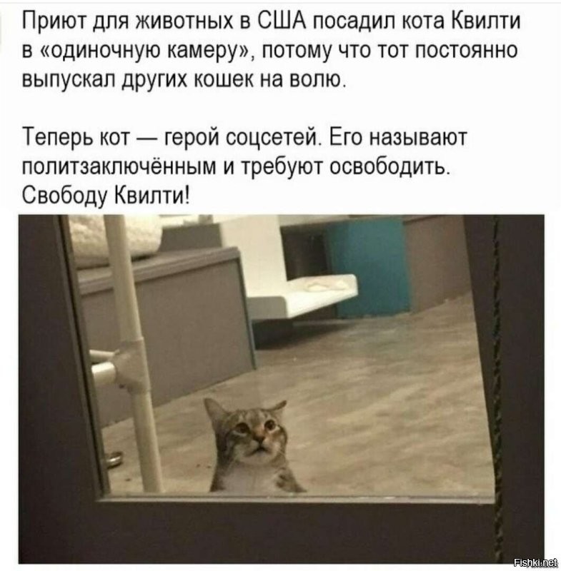 Солянка от 30.11.2022