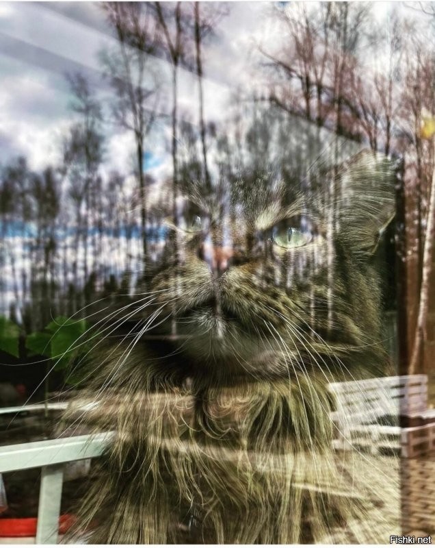 Солянка от 30.11.2022