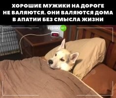 может быть но какая женщина захочет себе такого мужика?