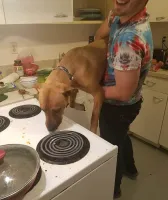 Это в какой стране люди так живут?