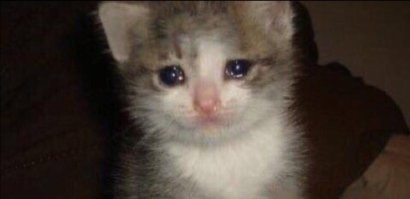 Утренний лёгкий юмор