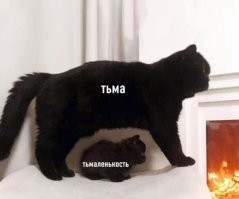 Смешные и познавательные картинки