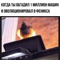 Смешные и познавательные картинки