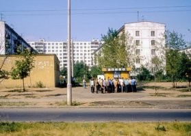 Красота спасёт мир!