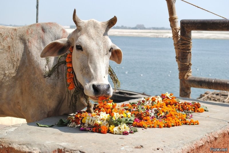 Самое главное в Германии не одевать короткую юбку