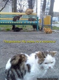 30 фото из молодости знаменитостей, которых все знают пожилыми