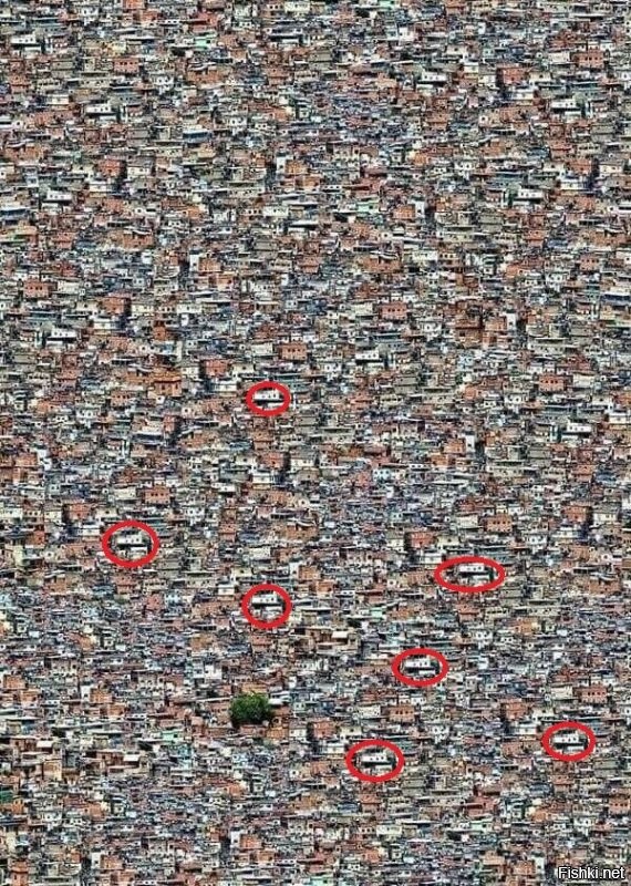 Фейк! Накопировали одну и туже картинку.