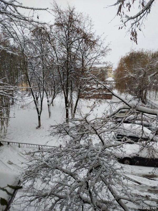 совсем стеснительный