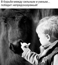 Фотоподборка