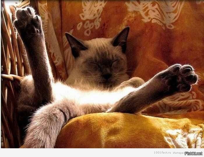 Солянка от 01.12.2022