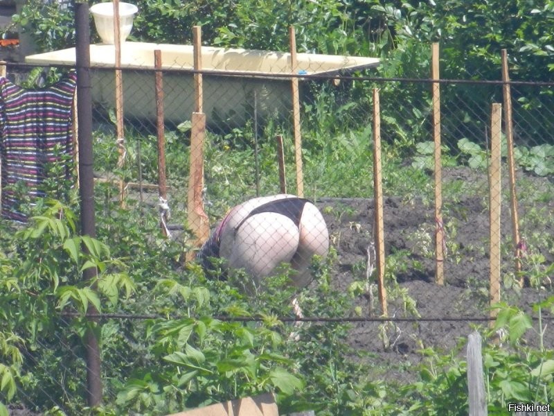 Мне хватает соседей.