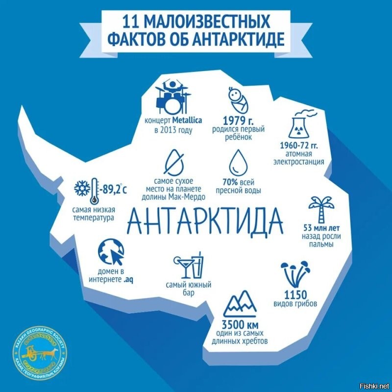 Солянка от 01.12.2022