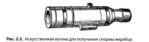 Не нашёл фото, но есть аналог для людей с подключением на комп