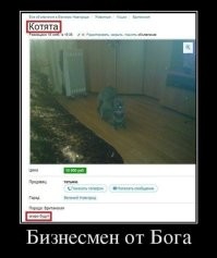 Смешные объявления с Авито от мастеров продаж