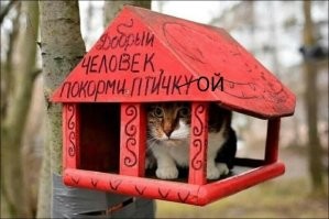 На общую тему