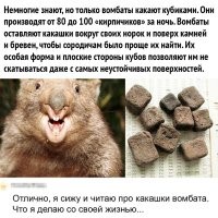 25 странных, забавных и причудливых существ, живущих на Земле