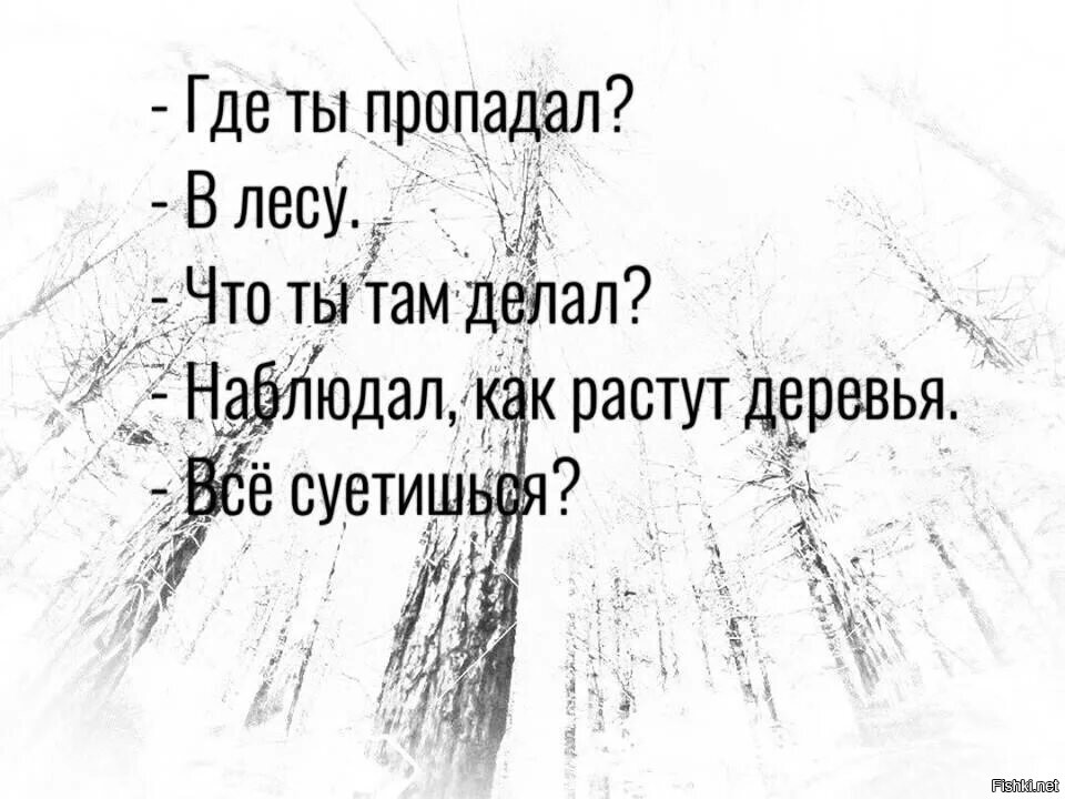 Чем занимаешься смотрю как деревья растут все суетишься картинка