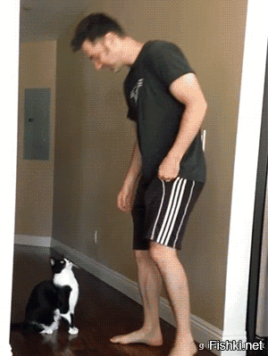 Солянка от 01.12.2022