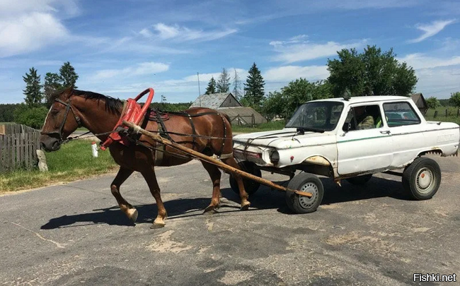 Живя в России о брутальности знаю почти всё...